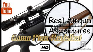 Gamo Phox Mk2 PCP Air Rifle Update Review [upl. by Ahkihs]