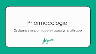 Tutorat pharmacologie  Système sympathique et parasympathique [upl. by Jorgan]