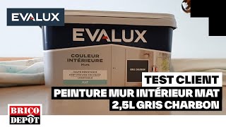 Peinture mur intérieur mat 25L gris charbon  EVALUX  Lavis dAmandine  Cliente Brico Dépôt [upl. by Dusty]