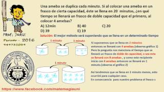 VIDEO 9  situaciones lógicas reproduccion de ameba [upl. by Sirromed]