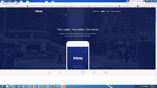 محفظة bitpay المحفظة الرسمية للايداع والسحب في سكريل Skrill [upl. by Odnomar573]