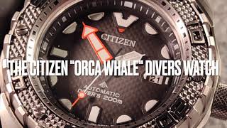 The Citizen Promaster quotOrca Whalequot Automatic Divers Watch  NB600408E [upl. by Lluj]