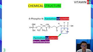 NUTRITION soluble vitamin VITAMIN B5 Pantothenic acid PART 2 biochemistry [upl. by Robi]