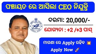 Odisha Panchayat Level CEO Recruitment 2024  Panchayat Level Job Vacancy [upl. by Atinot]