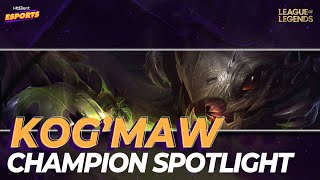 Deep Sea KogMaw  Skin Spotlight  Forgotten Depths Collection  League of Legends  Patch 1081 [upl. by Ateval]