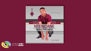 Ntencane  Nhloboni Yothando Official Audio Ntencane [upl. by Gibb]