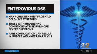 CDC issues warning for renewed wave of enterovirus [upl. by Stieglitz378]