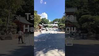 Tsurugaoka Hachimangu鶴岡八幡宮 beautiful shrine [upl. by Nnaecyoj]