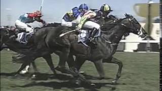 1996 VRC Newmarket Handicap [upl. by Shaer]