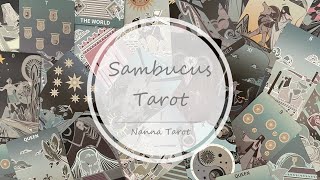 開箱 🥀 接骨木塔羅牌經典版 • Sambucus Tarot Original  Nanna Tarot [upl. by Miru891]