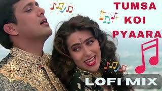 Sau Phool Khile Jab Ye Khila Roop Sunhara  Tumsa Koi Pyaara  Lofi Mix  90s Hits  Lofi Songs [upl. by Troxell]