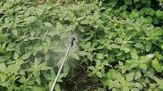 Erbicidare totala pentru toate buruienile Total herbicide for all weeds [upl. by Hazeefah]