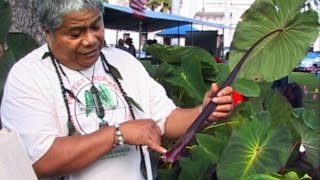 ‘Ula‘ula Poni Plant Descriptors  with Jerry Konanui [upl. by Neenaj43]