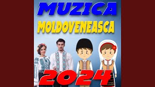 Muzică de nuntă moldovenească [upl. by Frohman]