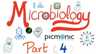 Microbiology  Viridans Streptococcus pyogenes agalactiae bovis Enterococci  Picmonic Part 4 [upl. by Airel]