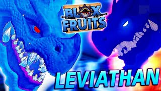 CAÇANDO LEVIATHAN NO SERVE PRIVADO BLOX FRUIT [upl. by Revell341]