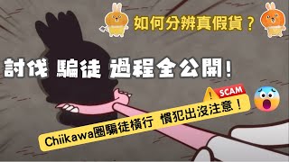 提防騙子秘笈大公開！教你分真貨假貨！Chiikawa解說 EP2  ちいかわ  吉伊卡哇  小可愛 [upl. by Nylssej]