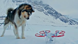 Drone Flight in Sisimiut [upl. by Appleton]