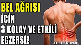 BEL AĞRISI İÇİN 3 KOLAY VE ETKİL EGZERSİZ aktifizyo belağrısı fıtıktedavisi [upl. by Clint332]