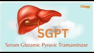 SGPTALT Explained by Dr Nauman Khan SGPT And their Range Management Prevention [upl. by Leehar]