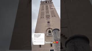 Los carruajes de Sevilla son una de las atracciones turísticas más emblemáticas de la ciudad 🇪🇸❤️ [upl. by Aekim]