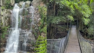 Minnamurra Falls and Rainforest walk  Minnamurra Rainforest Centre  NSW 🇦🇺 [upl. by Dyolf]