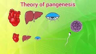 Theory of pangenesis [upl. by Eixela]