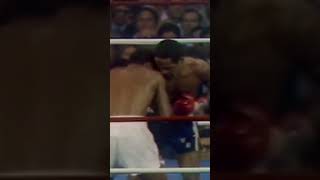 OTD in 1979 Sugar Ray Leonard stopped Benitez in R15 to secure the Welterweight title 🏆 shorts [upl. by Wun]