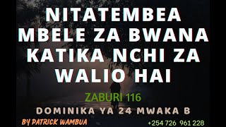 Nitatembea Mbele Za Bwana Katika Nchi Za Walio Hai By Patrick Wambua  Dominika Ya 24 Mwaka B [upl. by Bahr]