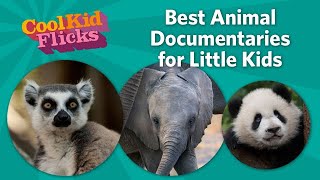 Best Animal Documentaries for Little Kids [upl. by Willi406]