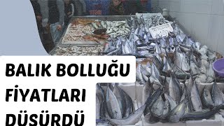 Balık Bolluğu Tezgahlar Şenlendi Fiyatlar Düştü sinop balık palamut [upl. by Ainosal306]