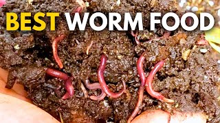 What to Feed Worms Vermicompost Made EASY [upl. by Maller]