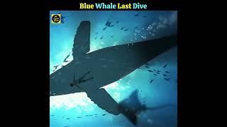 Blue Whale Last Dive 🐋shorts whale [upl. by Myrna]