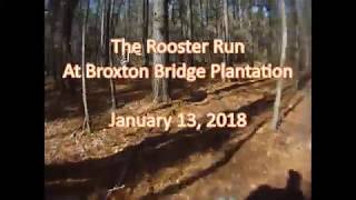 The Rooster Run AKA Broxton Bridge Dual Sport  Part 3 600 Acre  2018 [upl. by Anwahsak205]