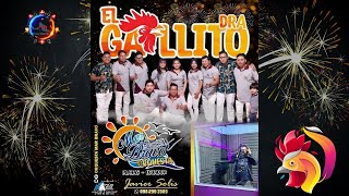 EL GALLITO DRA ORQUESTA MAR BRAVO INTROACAPELLA REMIX 2023 [upl. by Nyladnewg]