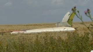 MH17s lonely crash site [upl. by Clareta]