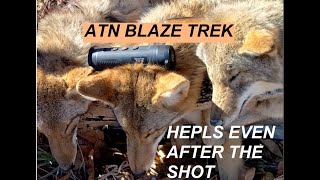 ATN Blaze Trek Helps Find Coyote in The Thick Brush [upl. by Eisiam]