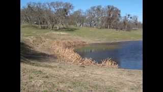 Deer Creek Hills hiking 25feb2012 [upl. by Fulmis162]