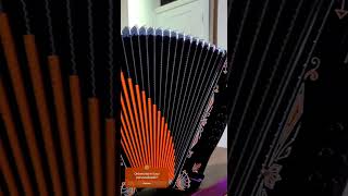 accordion acordeon norteñas [upl. by Odnalra]