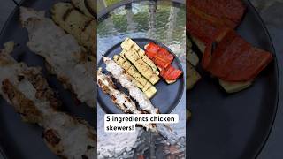 Easy 5Ingredient Greek Yogurt Chicken Skewers [upl. by Aeneg]