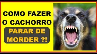 💎 COMO FAZER O CACHORRO PARAR DE MORDER Adestramento de Cães [upl. by Yearwood]