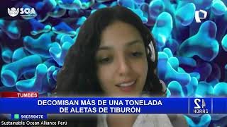 Tumbes Incautan más de una tonelada de aletas de tiburón 22 [upl. by Rory782]