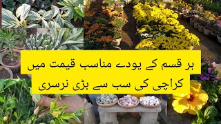 Karachi ki Sb se Bari Nursery  City Nursery  Daily Routine Itssanammirza [upl. by Geilich806]