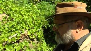 22 Sepp Holzer Permaculture Eng Subs [upl. by Lavella681]