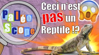 Les Reptiles nexistent PAS  La classification du vivant 2  PaléoScope 5 [upl. by Arondel4]