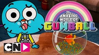 The Amazing World of Gumball  No More Fish  Cartoon Network [upl. by Novahs]