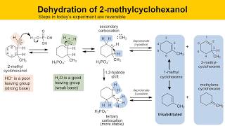 Dehydration of 2Methylcyclohexanol Experiment Part 1 Prelab Lecture [upl. by Down]