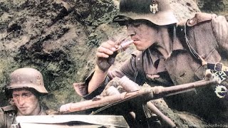 WW2 Waffen SS Intense Combat Footage [upl. by Enneirda]