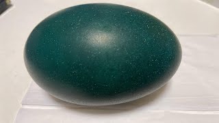 EMU EGGTHe Rarest Egg in the worldRarefood HealthySatisfyingviralvideo [upl. by Wiltshire]