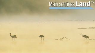 Spätsommer in der Nordheide  die schönsten Höfe Norddeutschlands NDR [upl. by Netram]